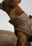 Dog vest, pattern №987, photo 15