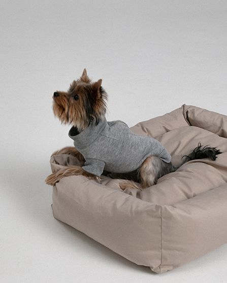 PET'S PATTERNS