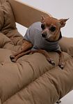 Dog sweater, pattern №988, photo 11