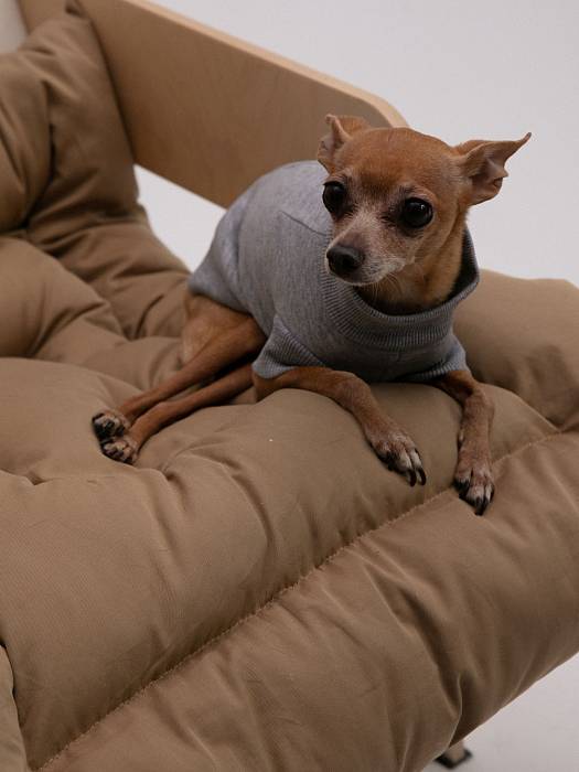 Dog sweater, pattern №988