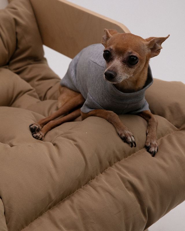 Dog sweater, pattern №988