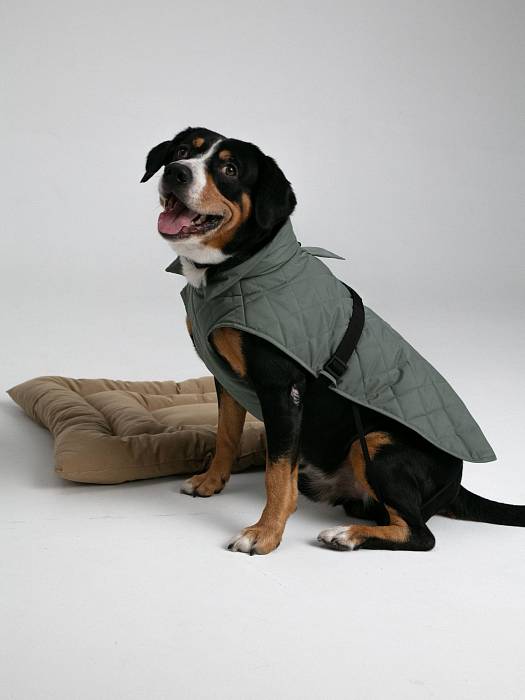 Dog vest, pattern №987