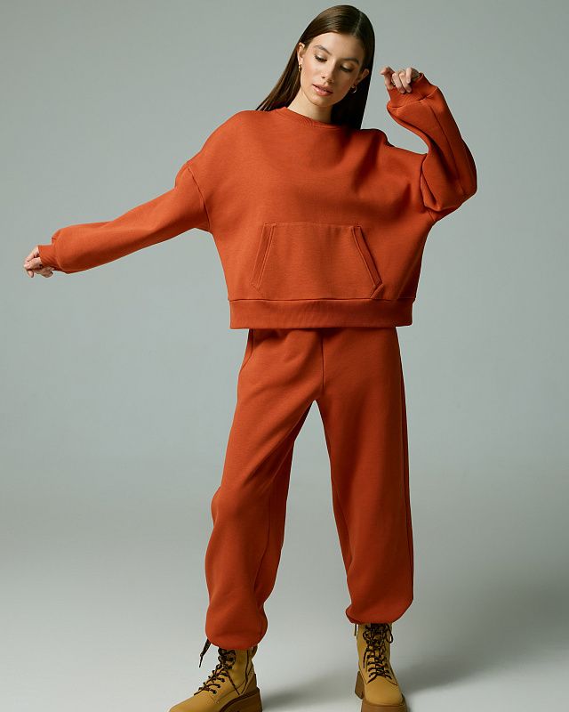 Sweatshirt, pattern №876