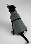 Dog vest, pattern №987, photo 8