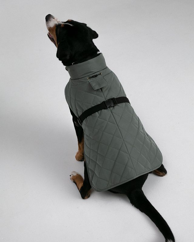 Dog vest, pattern №987