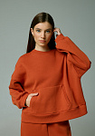 Sweatshirt, pattern №876, photo 1