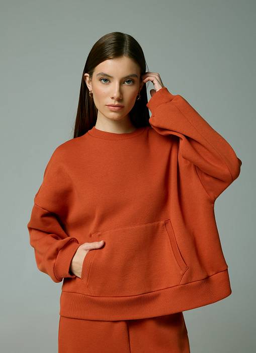 Sweatshirt, pattern №876