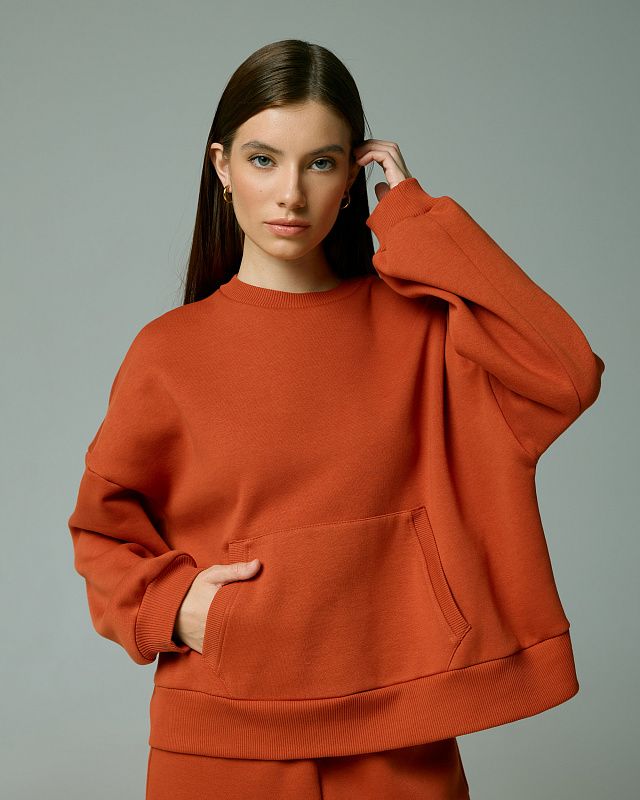 Sweatshirt, pattern №876