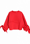 Sweatshirt, pattern №513, photo 1