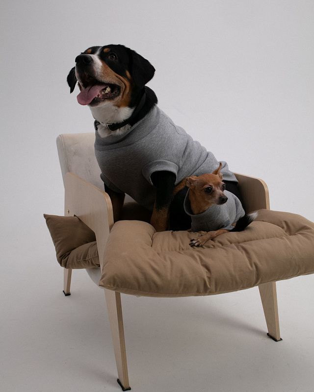 Dog sweater, pattern №988