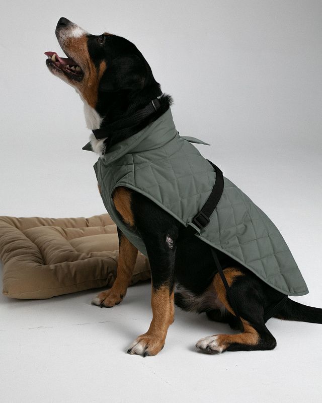 Dog vest, pattern №987