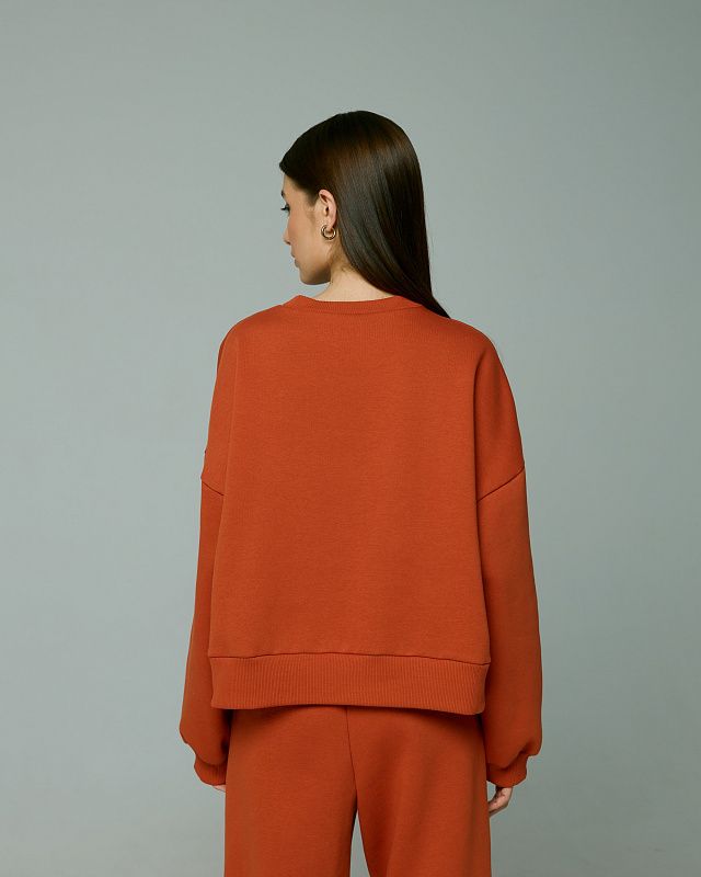 Sweatshirt, pattern №876