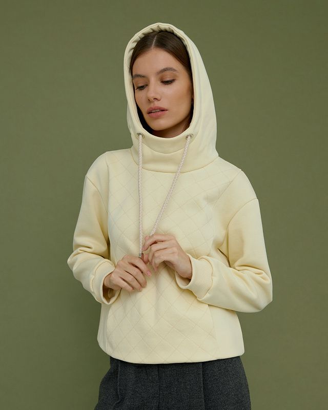 Hoodie and sweatshirt, pattern №862