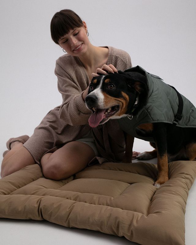 Dog vest, pattern №987