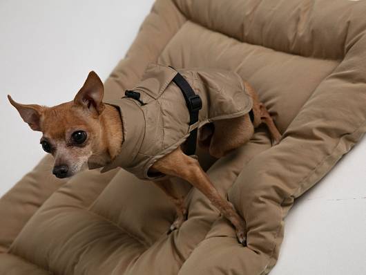 Dog vest, pattern №987