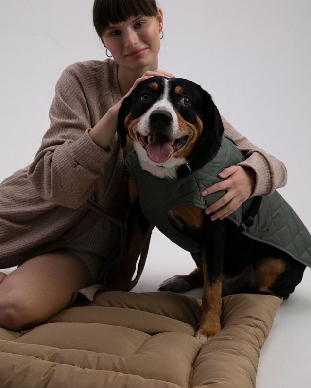 Dog vest, pattern №987