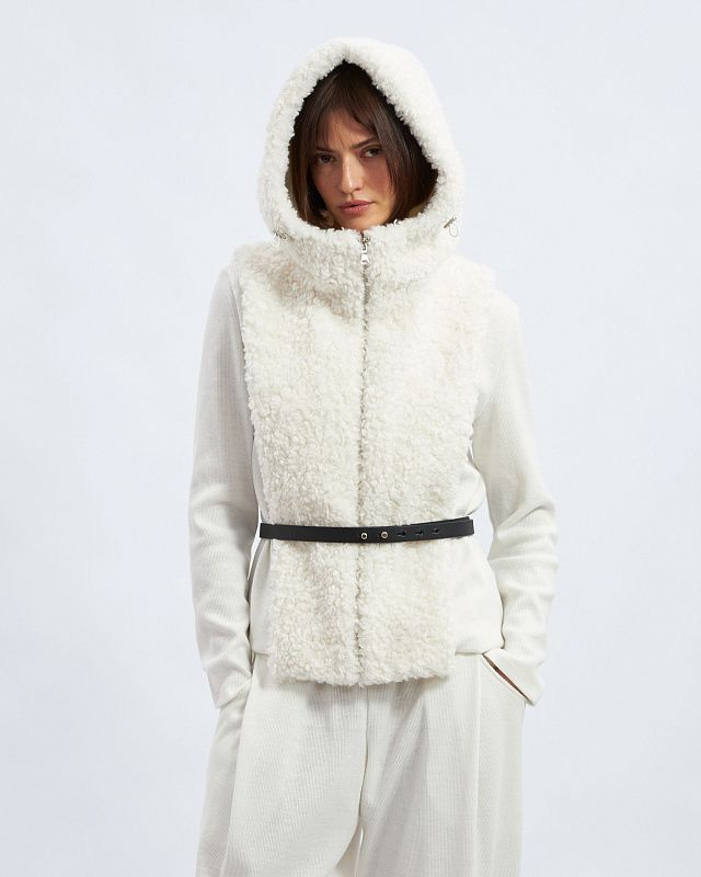 Hood, pattern №1300