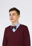 Neck tab and bow tie, free pattern №848, photo 2