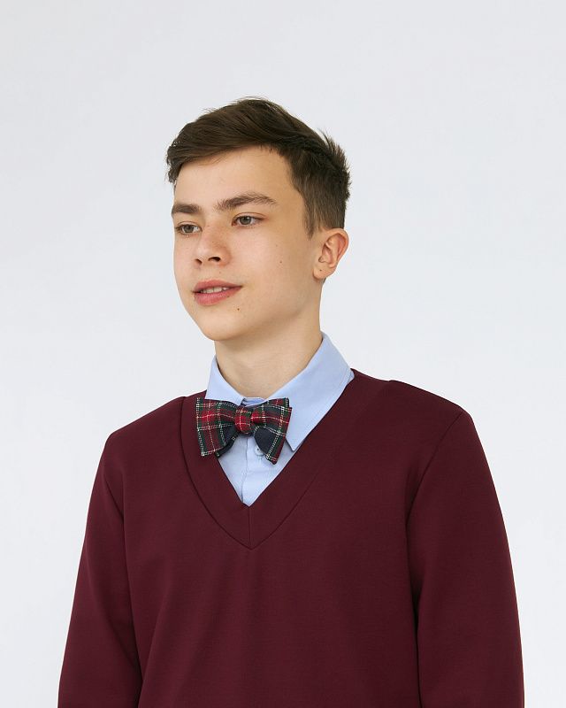 Neck tab and bow tie, free pattern №848 - for free