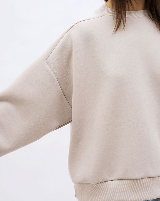 Sweatshirt and hoodie, pattern №1273
