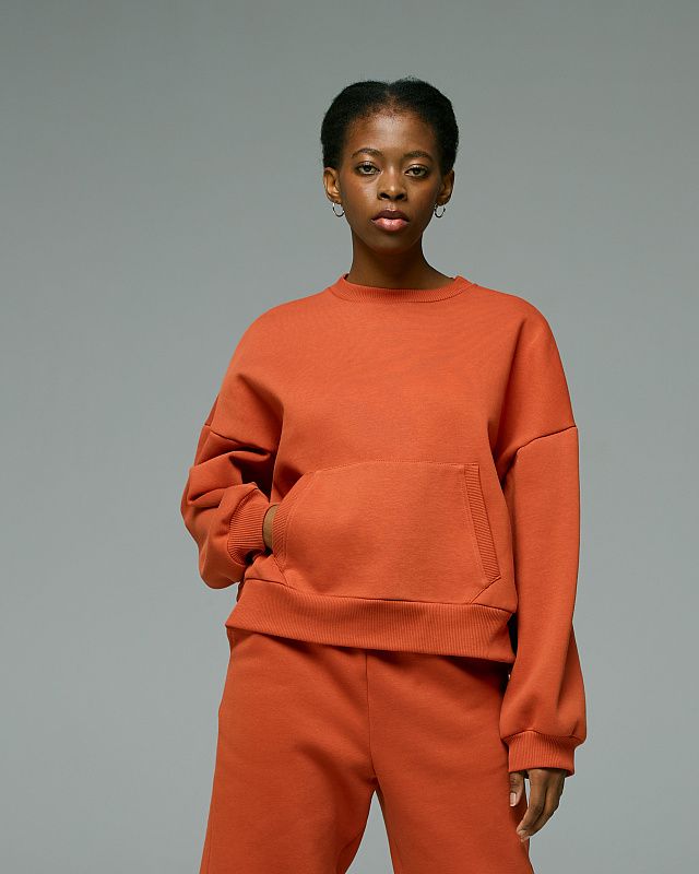 Sweatshirt, pattern №876