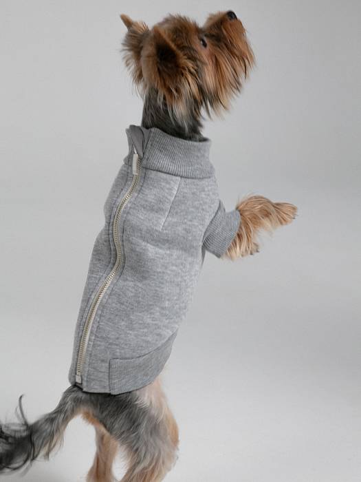 Dog sweater, pattern №988