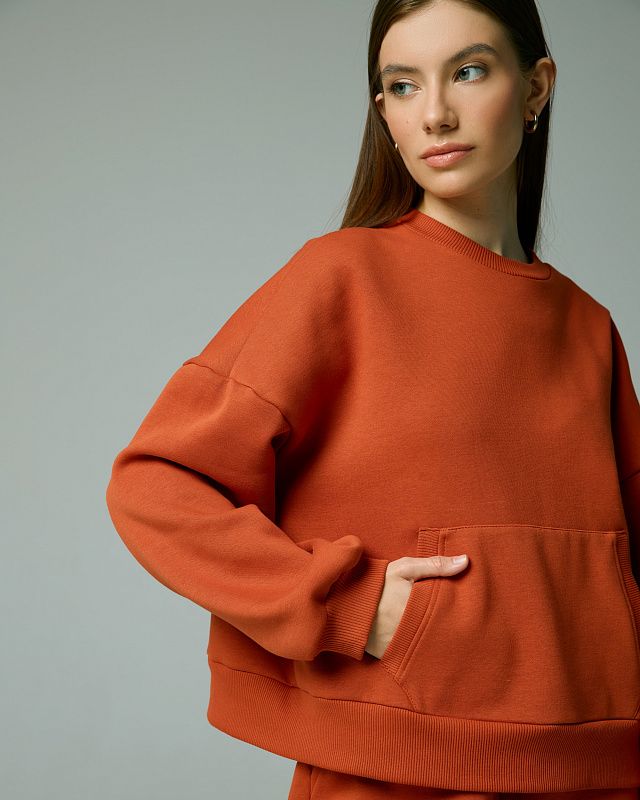 Sweatshirt, pattern №876