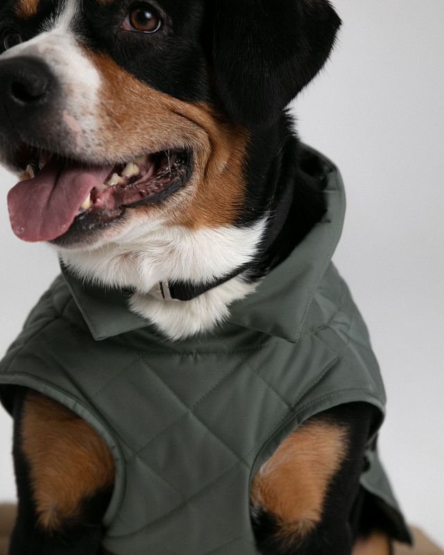 Dog vest, pattern №987