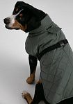 Dog vest, pattern №987, photo 10