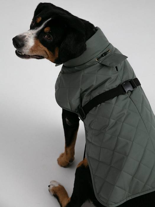 Dog vest, pattern №987