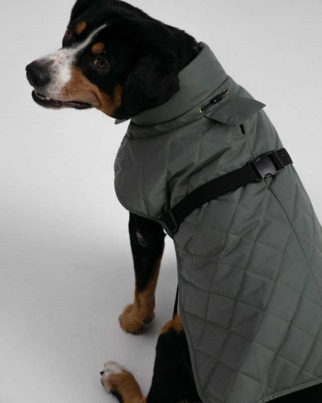 Dog vest, pattern №987