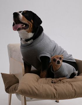 Dog sweater, pattern №988