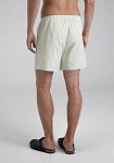 Briefs-shorts, pattern №994, photo 4