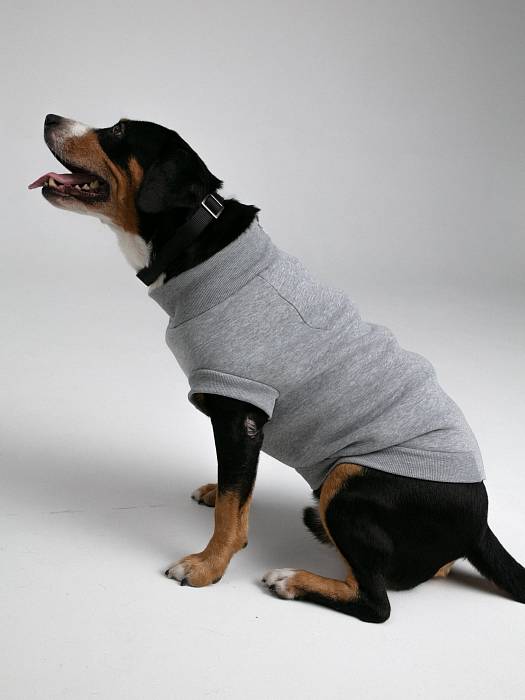 Dog sweater, pattern №988