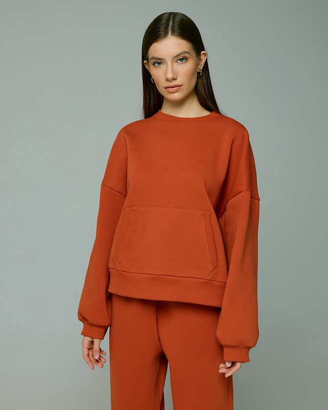 Sweatshirt, pattern №876