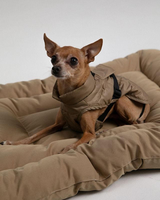 Dog vest, pattern №987