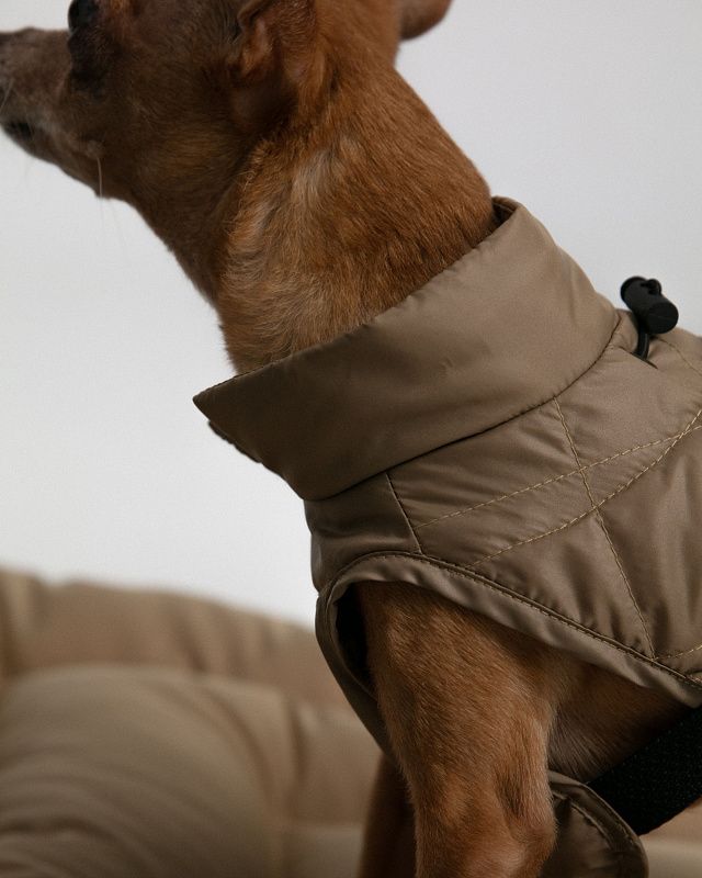 Dog vest, pattern №987